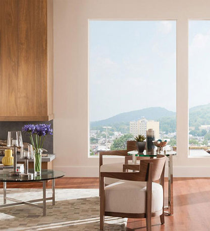 Picture Windows Vinyl