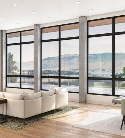 Picture Windows Vinyl