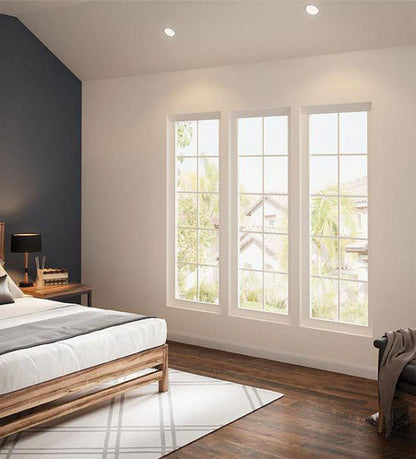 Picture Windows Vinyl